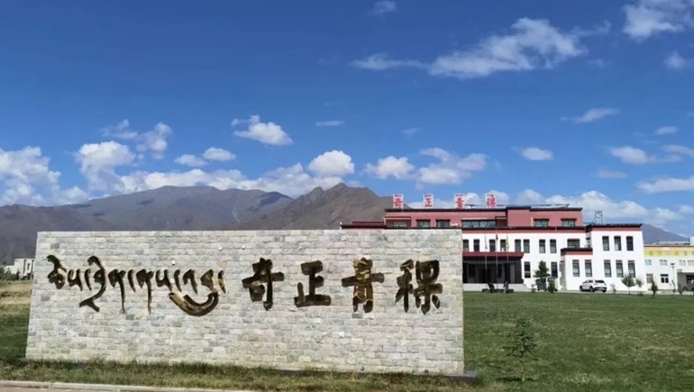 拉薩海關(guān)助力奇正青稞首批有機(jī)青稞、黑青稞出口香港